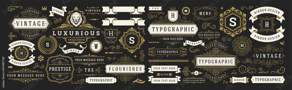 Vintage typographic decorative ornament design elements set vector illustration