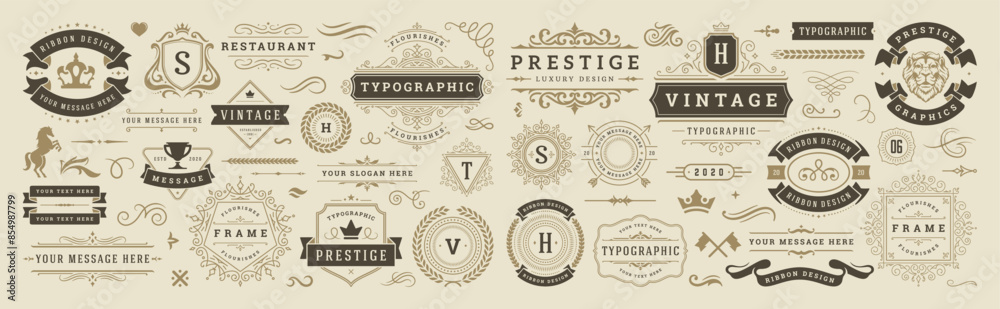 Vintage typographic decorative ornament design elements set vector illustration