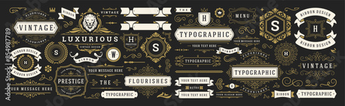 Vintage typographic decorative ornament design elements set vector illustration