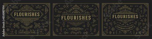 Vintage ornaments swirls and scrolls decorations design elements vector set