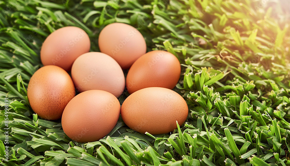 Brown chicken eggs on green grass in garden. Organic farm product. Natural food. Top view. Brown chicken eggs on green grass in garden. Organic farm product. Natural food. Top view.