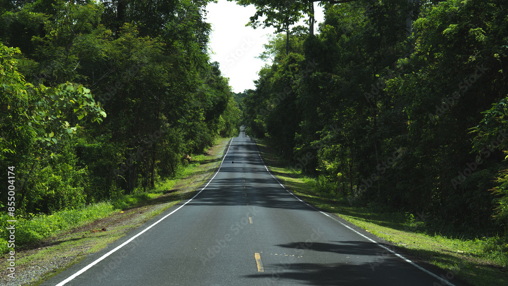 Road way to the nature in national park, exploration, journey or adventure in rainforest, Asphalt road in natural area, environmental inspiration green background, concept of scenery, wild and freedom Road way to the nature in national park, exploration, journey or adventure in rainforest, Asphalt road in natural area, environmental inspiration green background, concept of scenery, wild and freedom