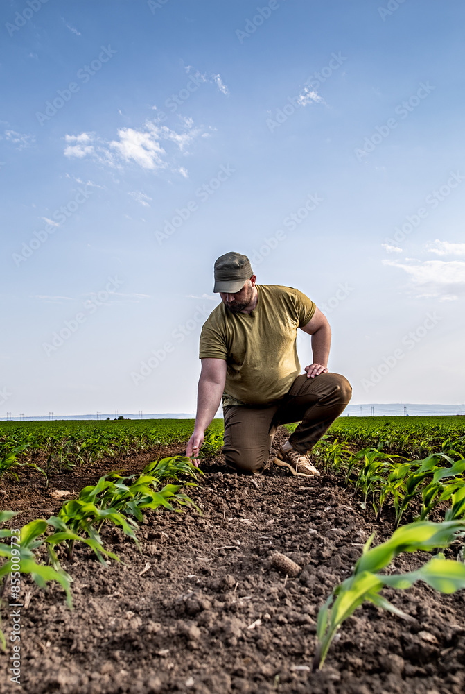 Fototapeta premium Agronomist examines soybean crop on field in summer.
