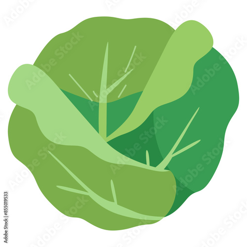 Cabbage vegetable vector illustration, kubis clipart image, kol cartoon icon , gobis clip art, kobis in flat design style, healthy green leafy vegetables
