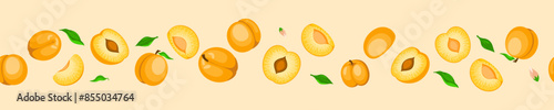 Apricot vector seamless border. Sweet orange fruits with leaves. Summer fruits horizontal background. drawn cartoon apricot illustration