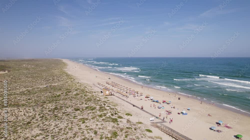 Culatra island beach in portugal with sunbathers and umbrellas under a clear sky, aerial view Culatra island beach in portugal with sunbathers and umbrellas under a clear sky, aerial view