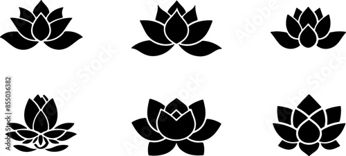 Silhouette of lotus flower
