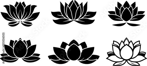 Silhouette of lotus flower