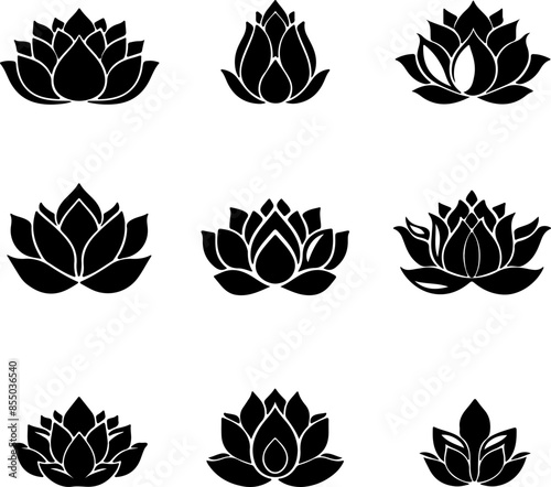 Silhouette of lotus flower