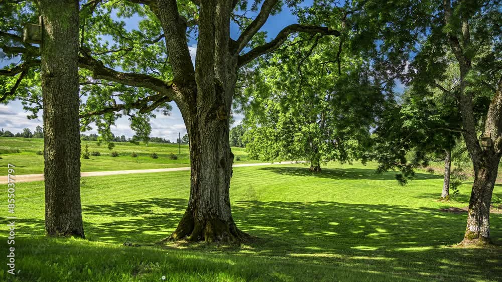 Lawn mowing by Gardener time lapse Mowing Grass With Trimmer, maintenance Lawn mowing by Gardener time lapse Mowing Grass With Trimmer, maintenance