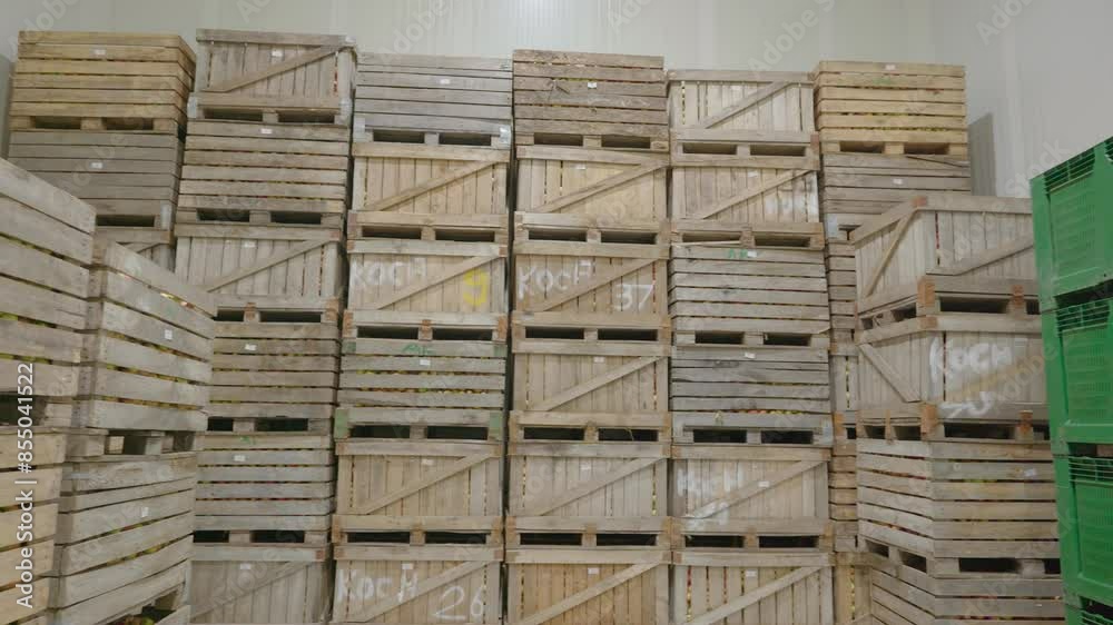 Many wooden boxes full of apples, food storage room Many wooden boxes full of apples, food storage room