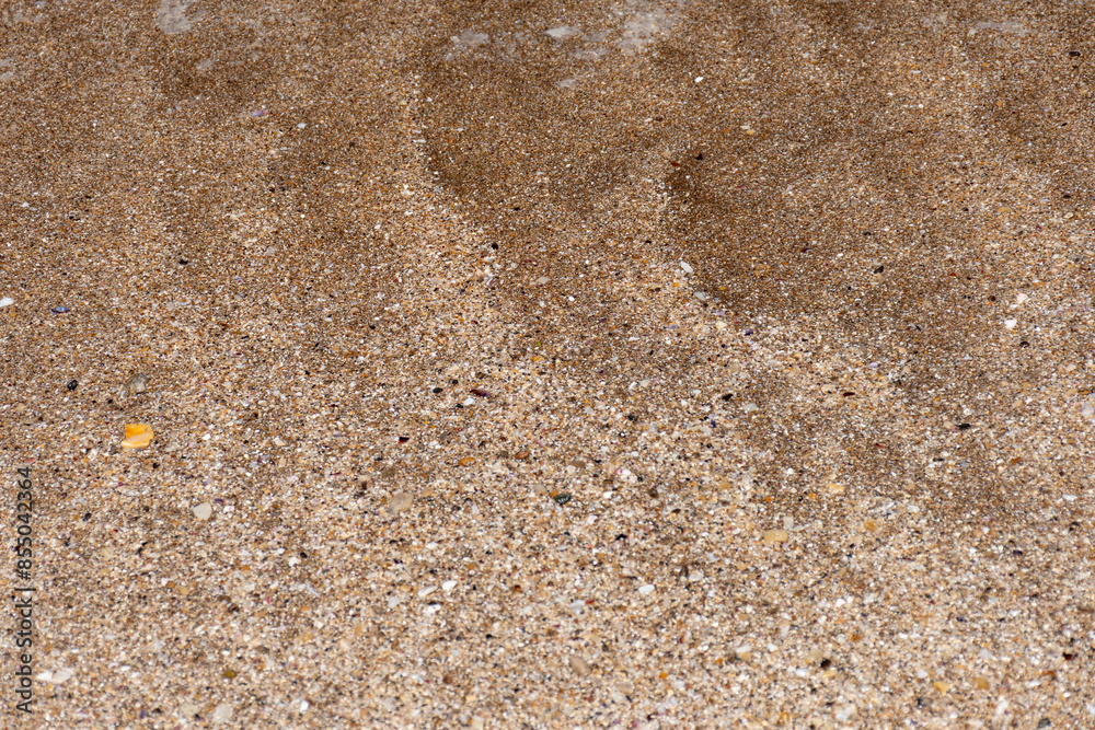 Texture of sand from the shore of the beach with traces of salt and shells. Texture of sand from the shore of the beach with traces of salt and shells.