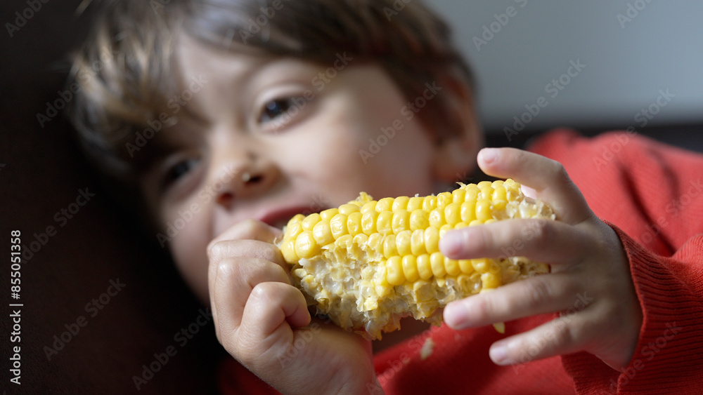 Young Boy Enjoying Fresh Corn Cob - Healthy Eating Concept Young Boy Enjoying Fresh Corn Cob - Healthy Eating Concept