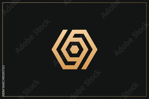 Hexagon Digital Multimedia Brand Logo