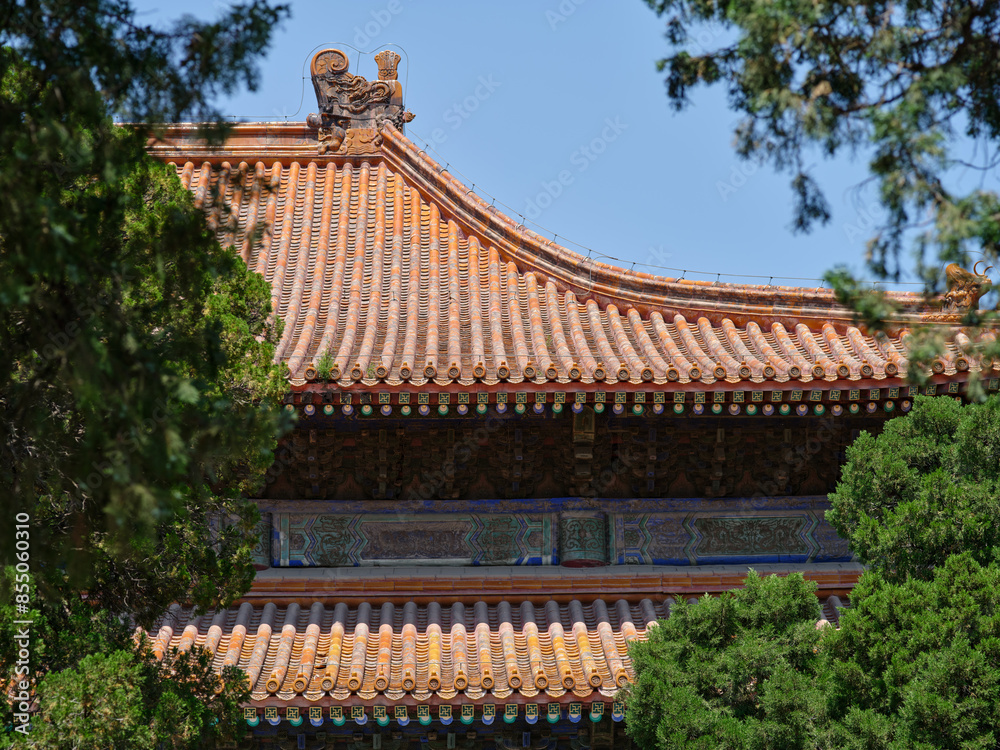 The main hall of imperial academy in beijing behind woods The main hall of imperial academy in beijing behind woods
