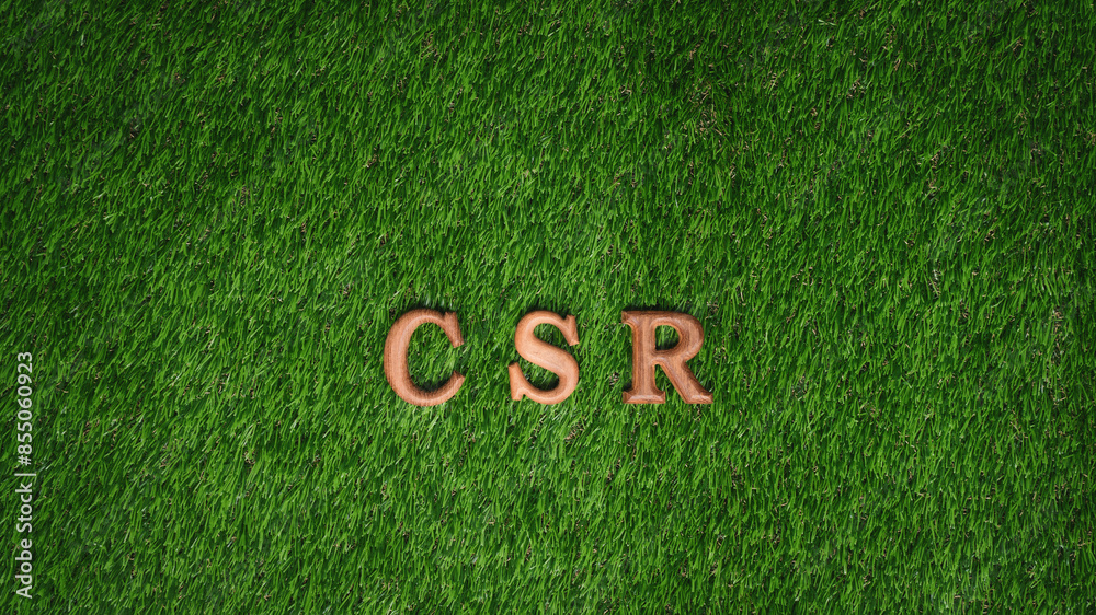 Arranged wooden alphabet text in CSR on biophilic background with as ...