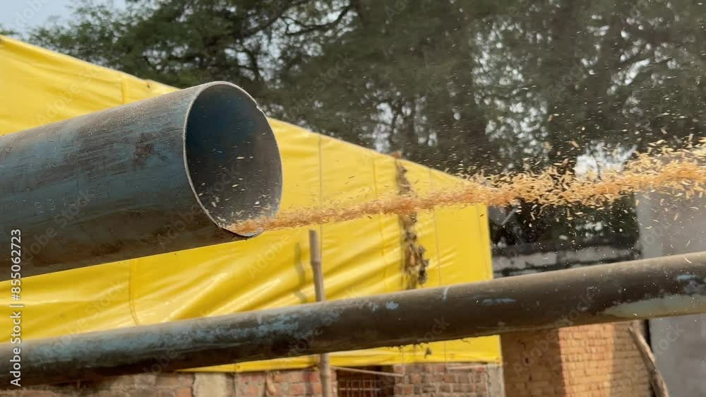 Rice husk flying out of the pipe from the process of rice milling Rice husk flying out of the pipe from the process of rice milling