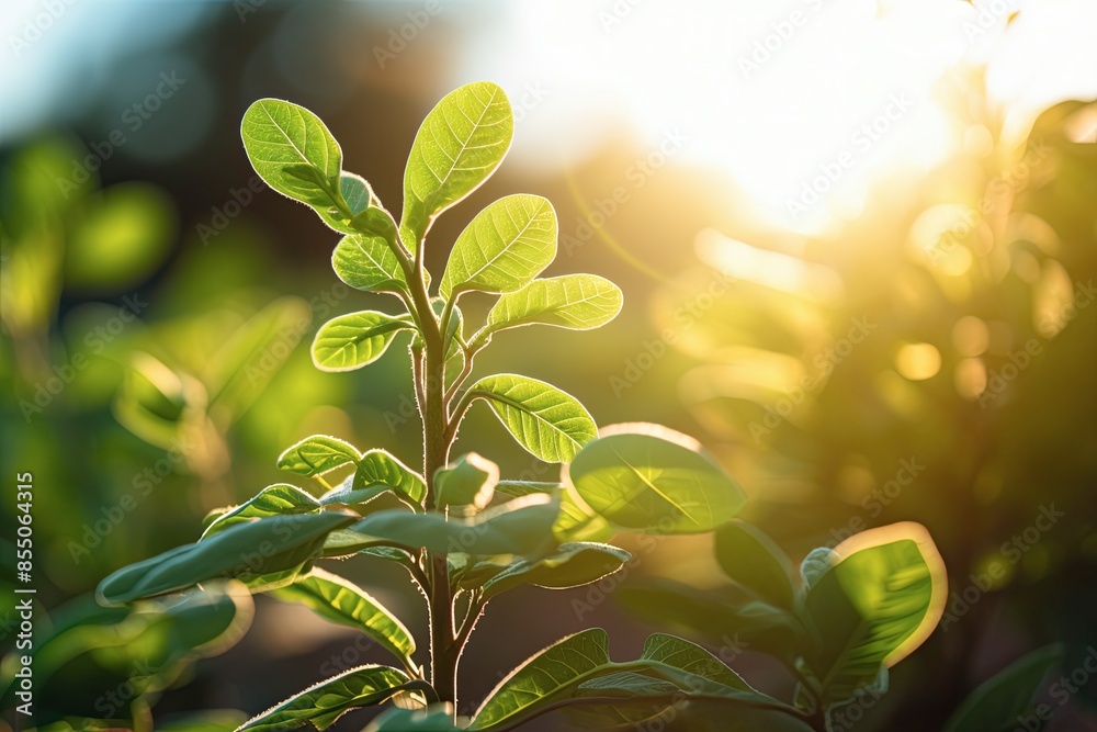 Obraz premium It sounds like you're interested in the intersection of urban planning, sustainability, and nature integration. Urban green spaces play a crucial role in creating livable cities while also promoting 