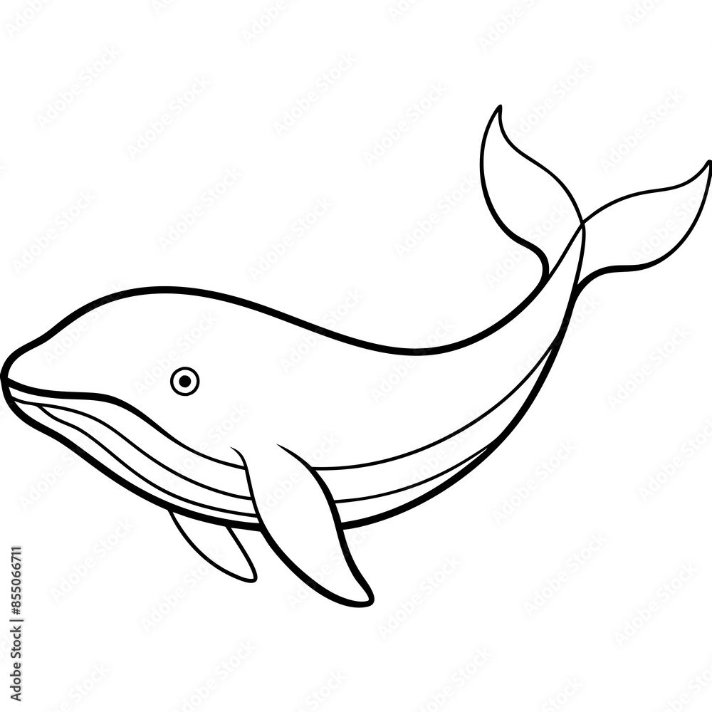 Graceful Whale Line Art Vector Illustration on White Background Graphic Design.