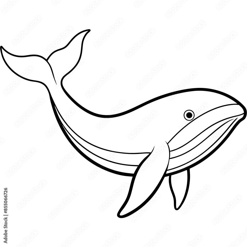 Fototapeta premium Graceful Whale Line Art Vector Illustration on White Background Graphic Design.