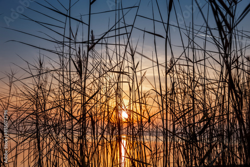 Sonnenuntergang auf der Insel Reichenau im Bodensee