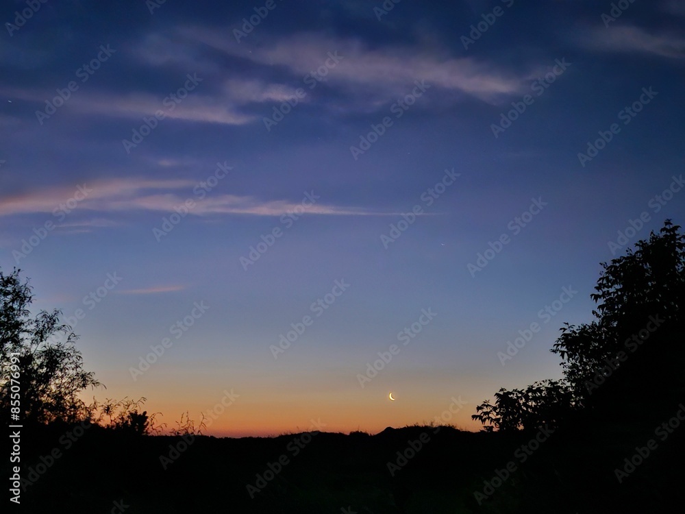 Serene sunset landscape with a crescent moon and silhouetted trees Serene sunset landscape with a crescent moon and silhouetted trees