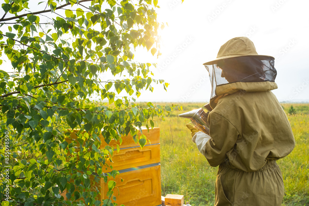 A beekeeper, a woman in a protective suit against bee stings, cigarette lighter fumigates a bee nest with smoke to calm them down. Beekeeping, care of the hive A beekeeper, a woman in a protective suit against bee stings, cigarette lighter fumigates a bee nest with smoke to calm them down. Beekeeping, care of the hive