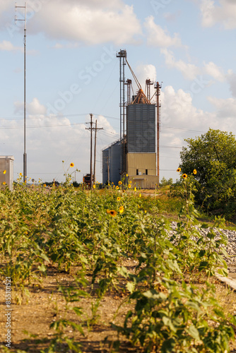A tall industrial grain silo against a backdrop of a bright, blue sky with scattered clouds. The foreground features a field with numerous sunflowers and other green plants.