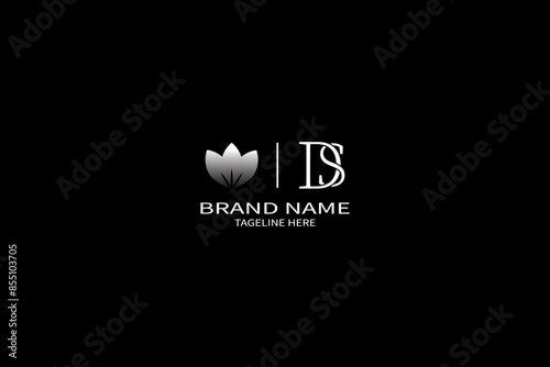 DS letter logo Design. Unique attractive creative modern initial DS initial based letter icon logo
