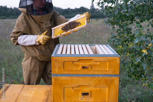A beekeeper, a woman in a protective suit against bee stings, holds a frame with honey from a bee hive in her hands. Beekeeping, care of the hive