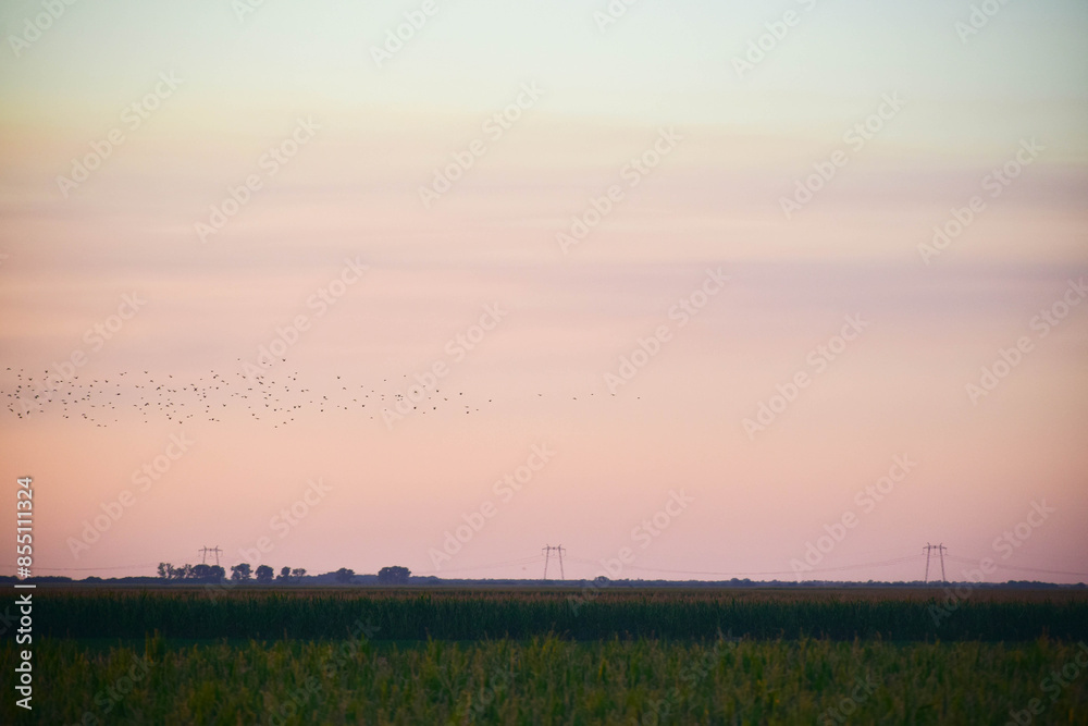 sunset over the field