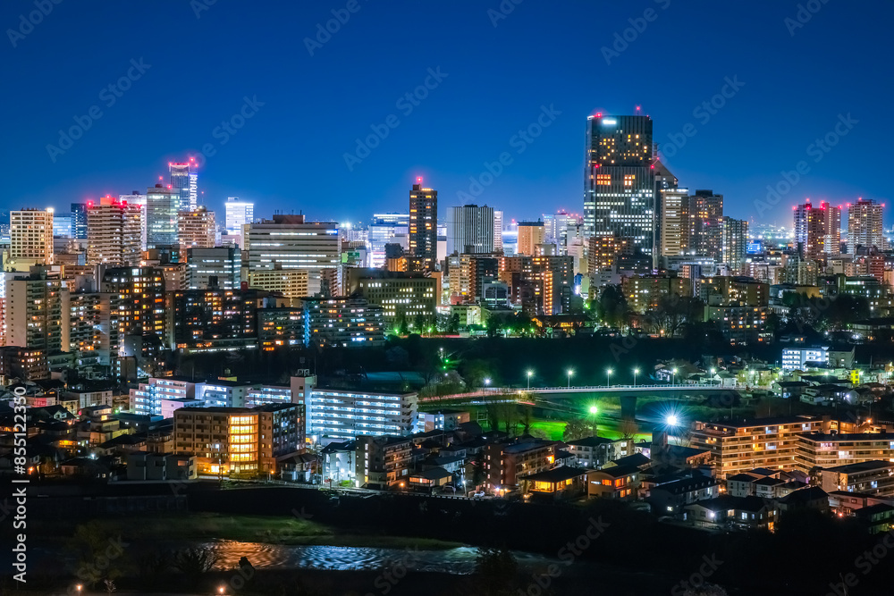 宮城県仙台市 仙台城跡から眺める仙台市の夜景 宮城県仙台市 仙台城跡から眺める仙台市の夜景