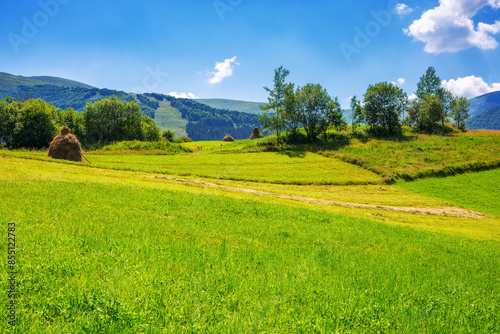 rural landscape with haystacks and trees on the grassy hill. nature scenery of ukrainian carpathian countryside in summer. sunny day with clouds on the sky above mountains