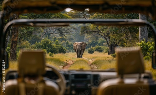 Tourists Viewing Elephant In African Safari Vehicle