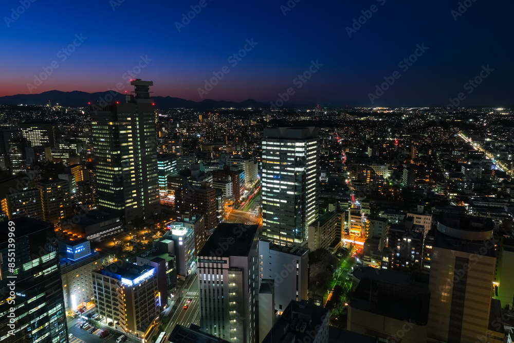Obraz premium 宮城県仙台市 AERビル、展望テラスから見る仙台の夜景