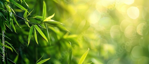 This image captures a close-up of green bamboo leaves against a background of soft, yellow-green bokeh, giving a serene, natural feel.