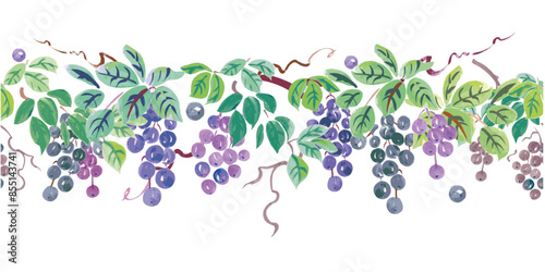 horizontal seamless border with clusters of grapes with leaves a