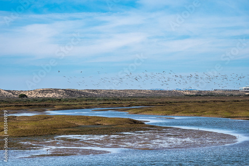 Landscape view of Parque Natural da Ria Formosa near Faro, Portugal