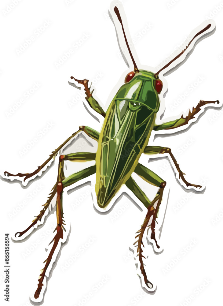cricket vector cricket vector