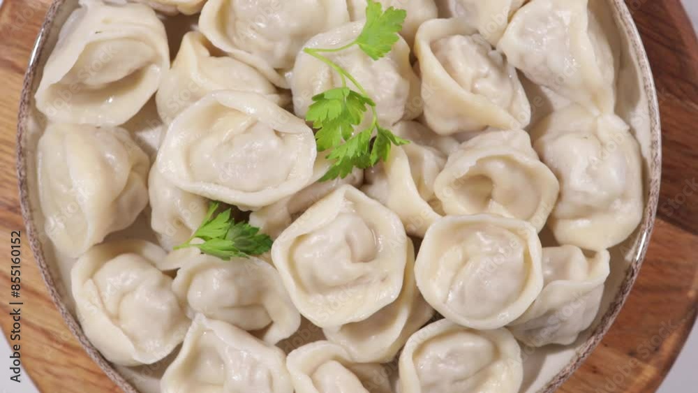 dumpling with meat on plate top view rotation food dumpling with meat on plate top view rotation food