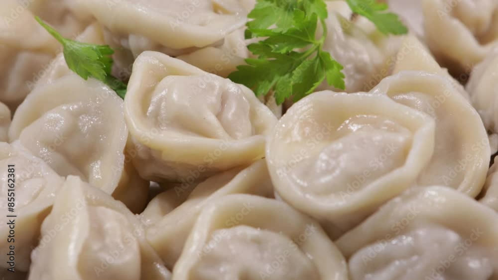 dumpling close up rotation food dumpling close up rotation food
