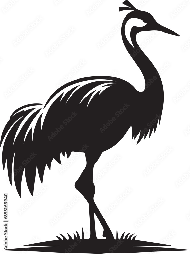 Copsychus saularis Vector Silhouette With white background Copsychus saularis Vector Silhouette With white background