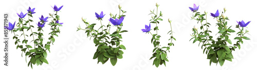 Set of flowers isolated. Bellflowers. Campanula. 3D illustration.