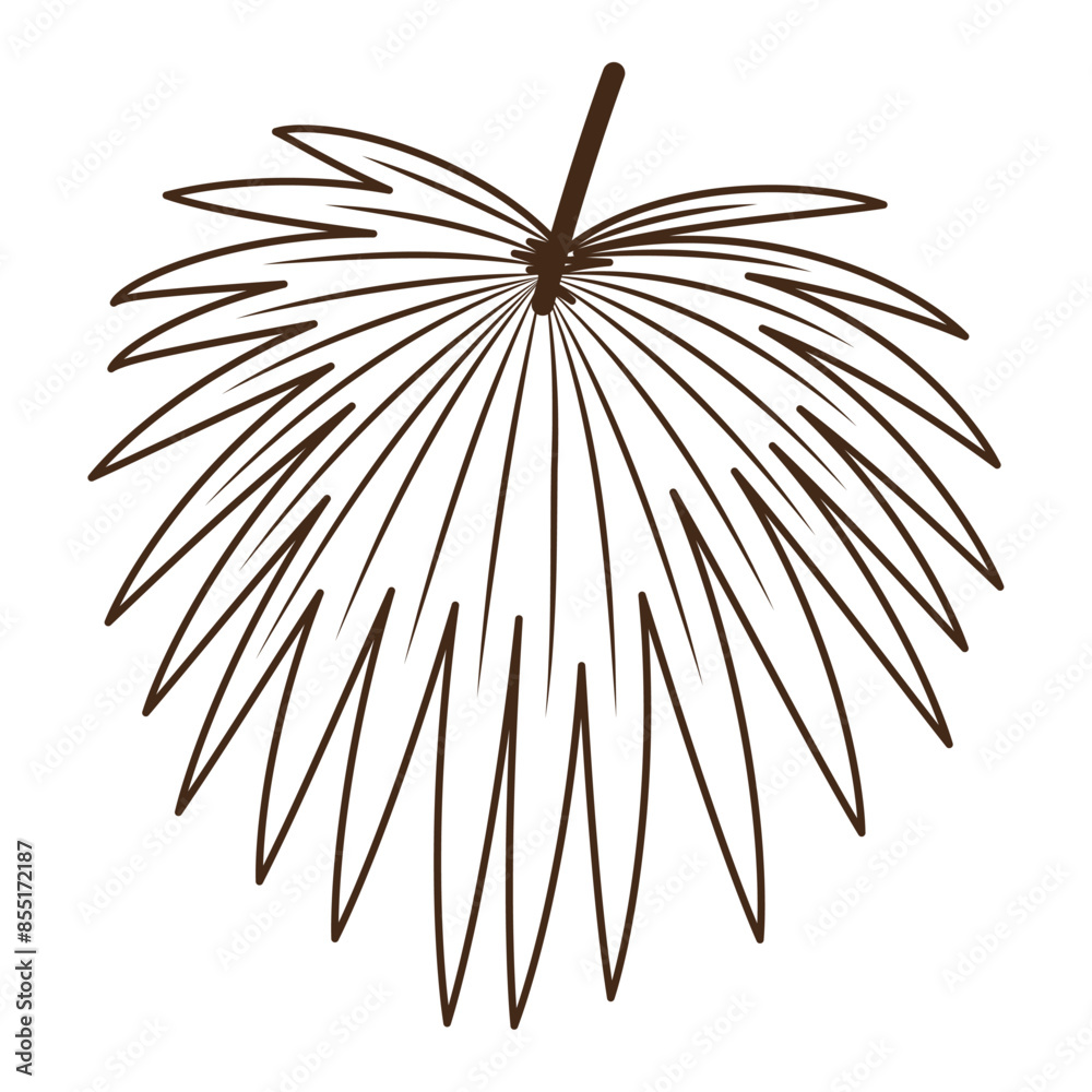 Obraz premium Botanical tropical palm pointed wide leaves branches hand drawn line for modern design decoration. Flat doodle style. Vector illustration.