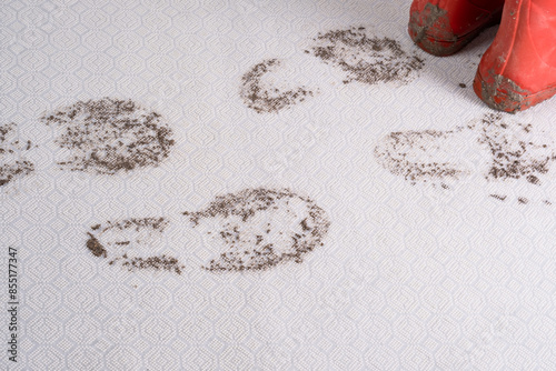 Canvastavla Muddy carpet