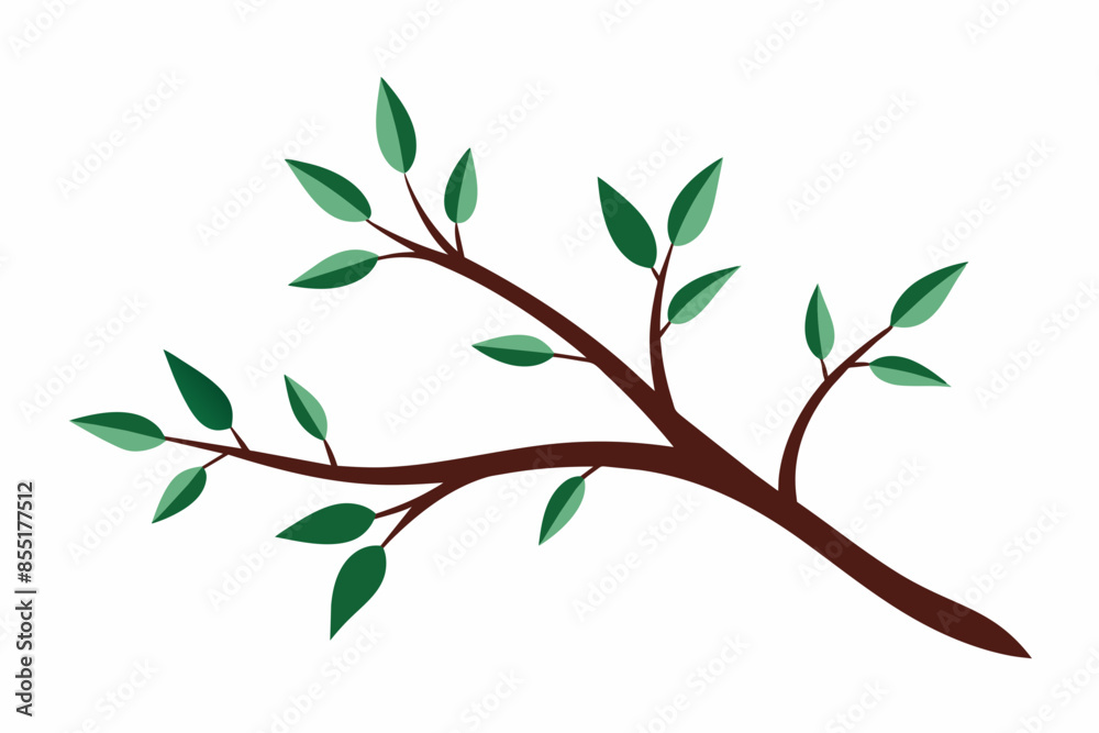branches vector illustration white background branches vector illustration white background