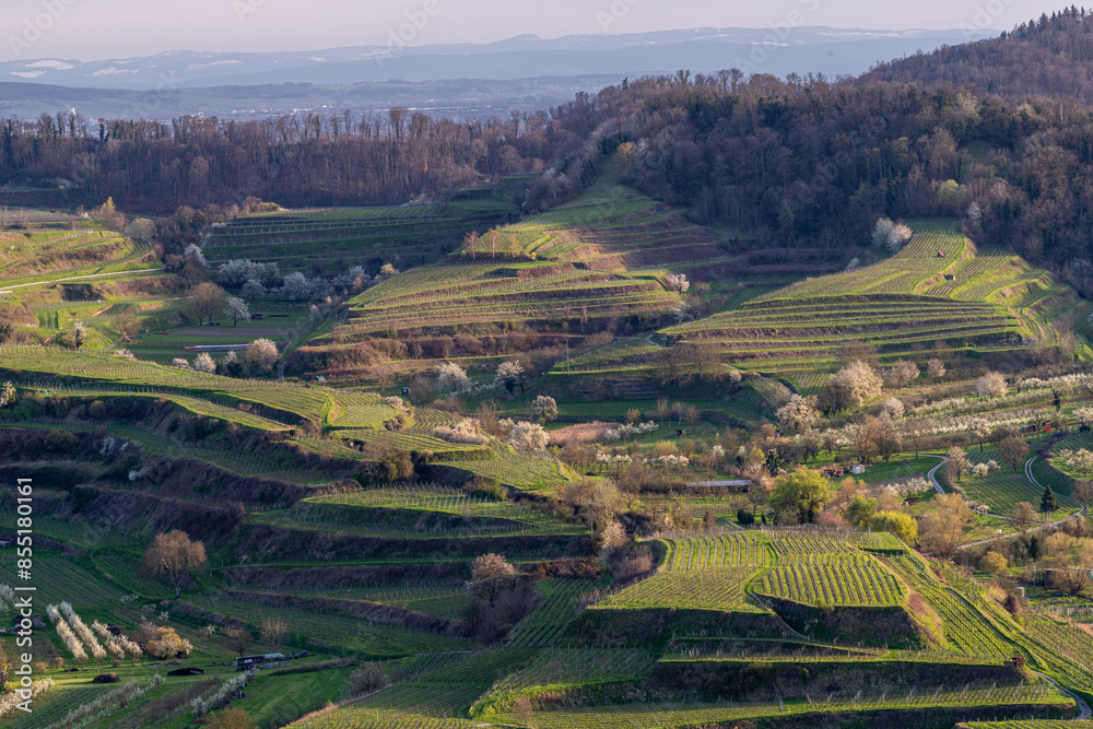 Kaiserstuhl von oben Kaiserstuhl von oben