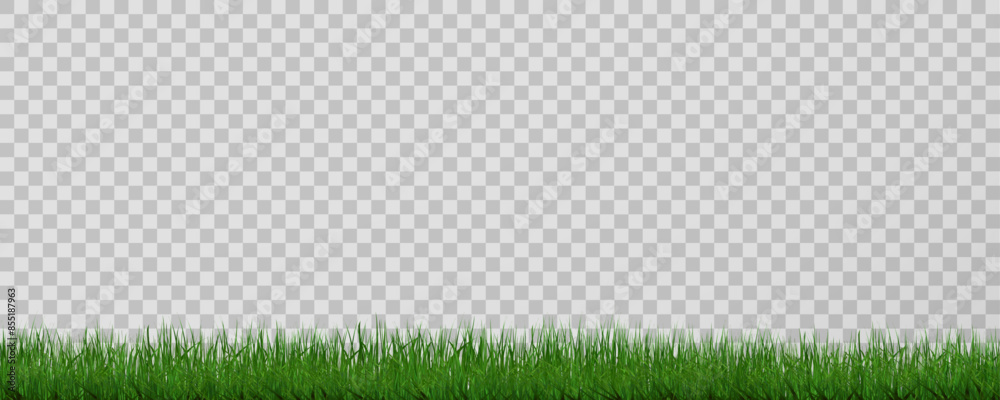 Grass border, vector illustration. Vector grass, lawn. Grass png, lawn ...