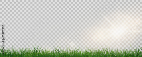 Grass border, vector illustration. Vector grass, lawn. Grass png, lawn png. Green grass with sun glare.	

