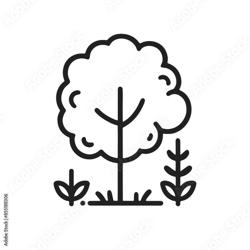 A tree is shown in a field with grass and leaves. The tree is the main focus of the image, and it is a symbol of growth and life